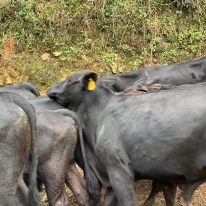 WhatsApp-Image-2021-04-22-at-9.58.33-AM