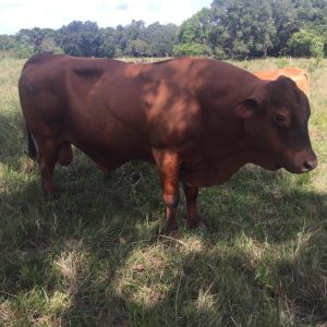 WhatsApp-Image-2021-04-29-at-8.37.22-AM