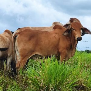 WhatsApp-Image-2021-05-11-at-9.51.32-PM