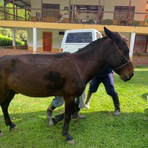 WhatsApp-Image-2021-07-03-at-08.42.16