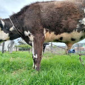 WhatsApp-Image-2021-07-10-at-5.14.17-PM