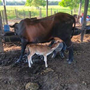 WhatsApp-Image-2021-08-05-at-3.23.29-PM