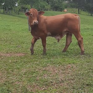 WhatsApp-Image-2021-08-13-at-12.57.05-PM