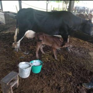 WhatsApp-Image-2021-09-04-at-6.13.11-AM