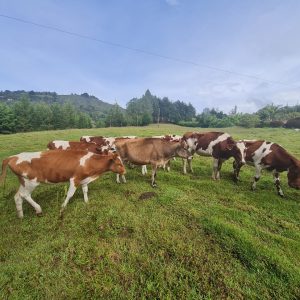 WhatsApp-Image-2021-10-07-at-11.31.29-AM-3