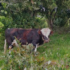 WhatsApp-Image-2021-10-17-at-10.06.19-PM