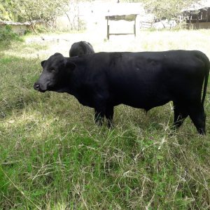 WhatsApp-Image-2021-10-25-at-12.31.13-PM-1