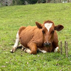 WhatsApp-Image-2021-11-03-at-19.18.21-1