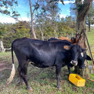 WhatsApp-Image-2021-11-03-at-19.18.21-2