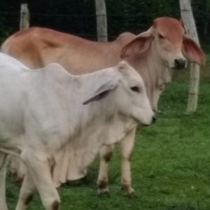 WhatsApp-Image-2021-11-08-at-13.01.15