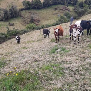 WhatsApp-Image-2021-11-20-at-2.54.34-PM-4