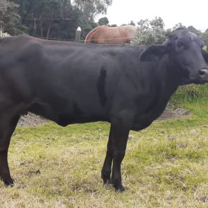 WhatsApp-Image-2021-11-22-at-2.51.04-PM-1