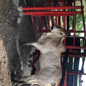 WhatsApp-Image-2021-12-01-at-8.44.33-AM