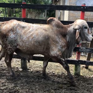 WhatsApp-Image-2021-12-01-at-8.44.38-AM