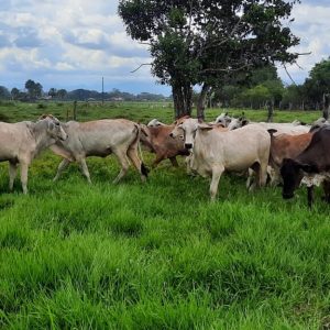 WhatsApp-Image-2021-12-08-at-15.09.55