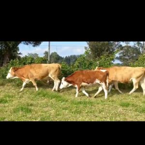 WhatsApp-Image-2022-01-13-at-5.35.55-PM-5