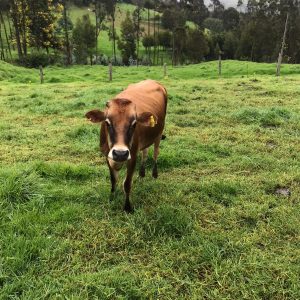 WhatsApp-Image-2022-05-31-at-9.52.06-AM