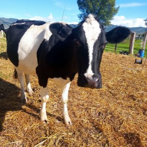 WhatsApp-Image-2022-09-12-at-9.00.22-PM-6