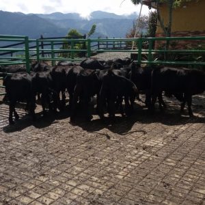 WhatsApp-Image-2022-09-14-at-5.23.19-PM