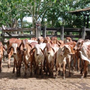 WhatsApp-Image-2022-10-29-at-6.13.20-PM-1-2