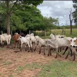 WhatsApp-Image-2022-11-18-at-8.42.13-PM