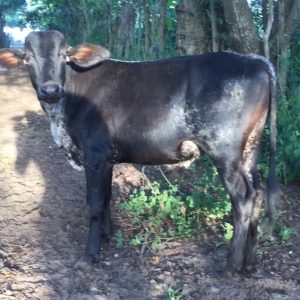 WhatsApp-Image-2022-12-20-at-8.22.23-PM