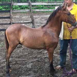 WhatsApp-Image-2022-12-20-at-8.46.33-PM-1-1