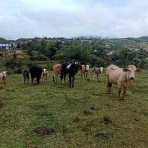 WhatsApp-Image-2022-12-23-at-7.29.15-PM