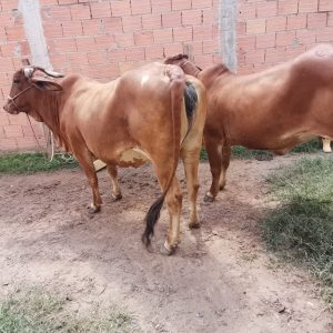 WhatsApp-Image-2022-12-27-at-12.07.40-1