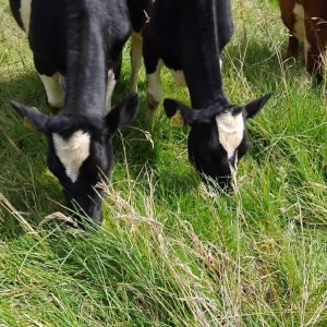 WhatsApp-Image-2023-01-26-at-12.53.05-PM-1