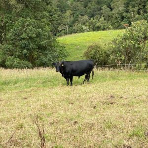 WhatsApp-Image-2023-01-31-at-10.05.16-AM