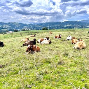 WhatsApp-Image-2023-02-23-at-5.10.31-PM