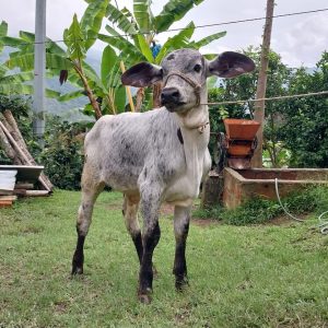 WhatsApp-Image-2023-03-14-at-8.34.10-PM-1