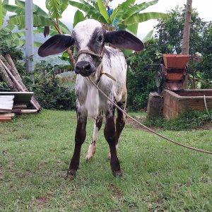 WhatsApp-Image-2023-03-14-at-8.34.10-PM-2