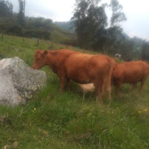 WhatsApp-Image-2023-04-09-at-12.31.12-PM-1