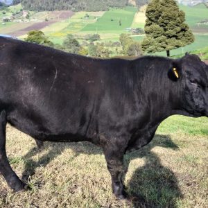 WhatsApp-Image-2023-05-07-at-3.41.14-PM