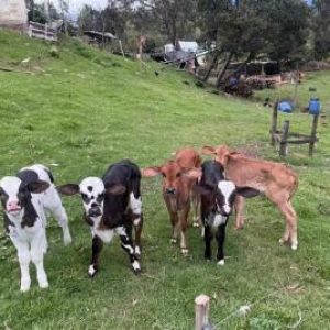 WhatsApp-Image-2023-06-26-at-7.20.13-PM