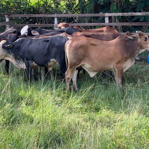 WhatsApp-Image-2023-09-15-at-6.28.05-PM