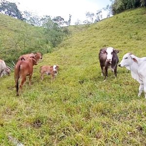 WhatsApp-Image-2023-10-19-at-9.08.01-AM