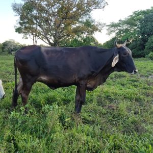 WhatsApp-Image-2023-11-08-at-7.39.53-AM-3