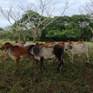 WhatsApp-Image-2023-11-24-at-8.09.37-PM