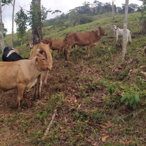 WhatsApp-Image-2024-01-27-at-8.58.04-AM