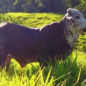 WhatsApp-Image-2024-02-01-at-11.05.02-1