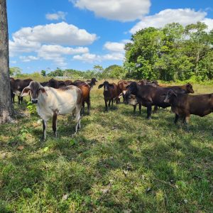 WhatsApp-Image-2024-05-06-at-7.41.13-PM-1