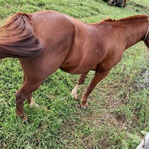 WhatsApp-Image-2025-02-06-at-11.43.33-AM