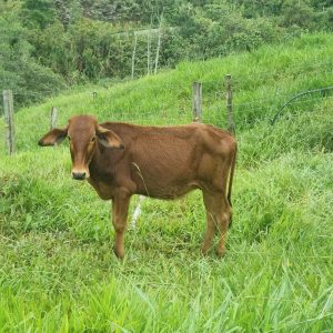 WhatsApp-Image-2025-02-21-at-3.47.00-PM-1