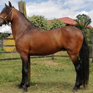 WhatsApp-Image-2025-08-21-at-9.55.24-AM-1