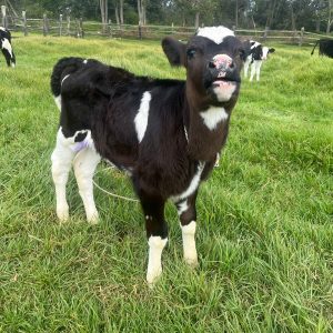 WhatsApp-Image-2026-02-02-at-8.16.06-PM-4