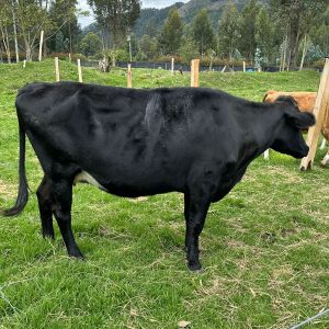 WhatsApp-Image-2026-02-18-at-11.49.06-AM