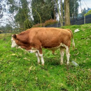 WhatsApp-Image-2026-02-24-at-11.55.01-AM